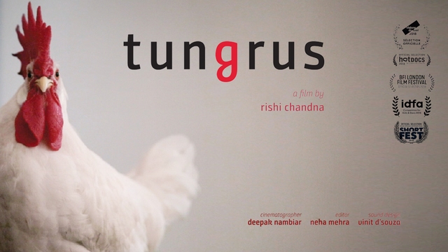 Tungrus alt=